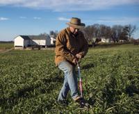 Cover Crops at the Groff farm in Martic Twp.
