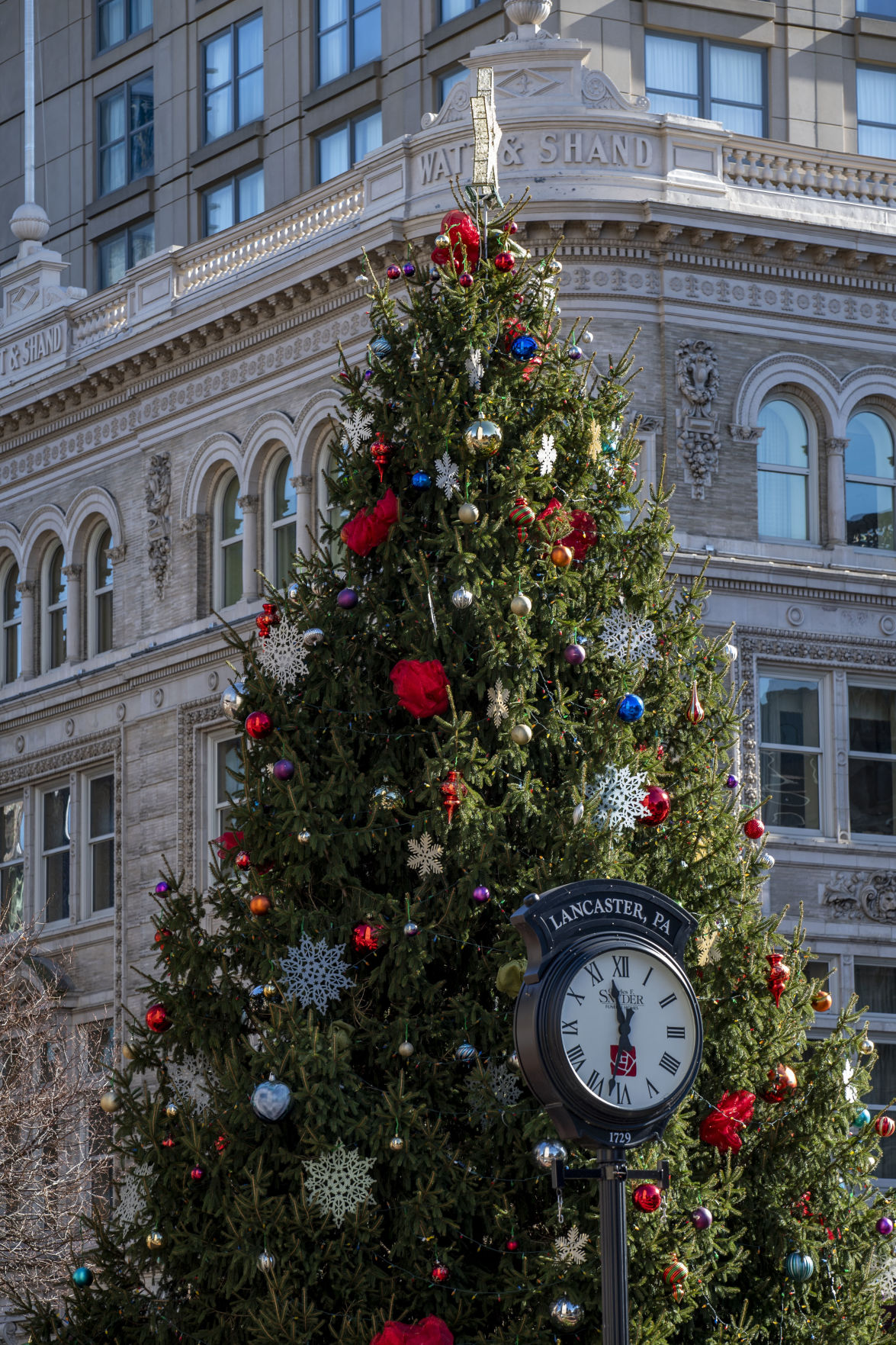 Lancaster City's Christmas tree goes up in Penn Square for 2019 [photos