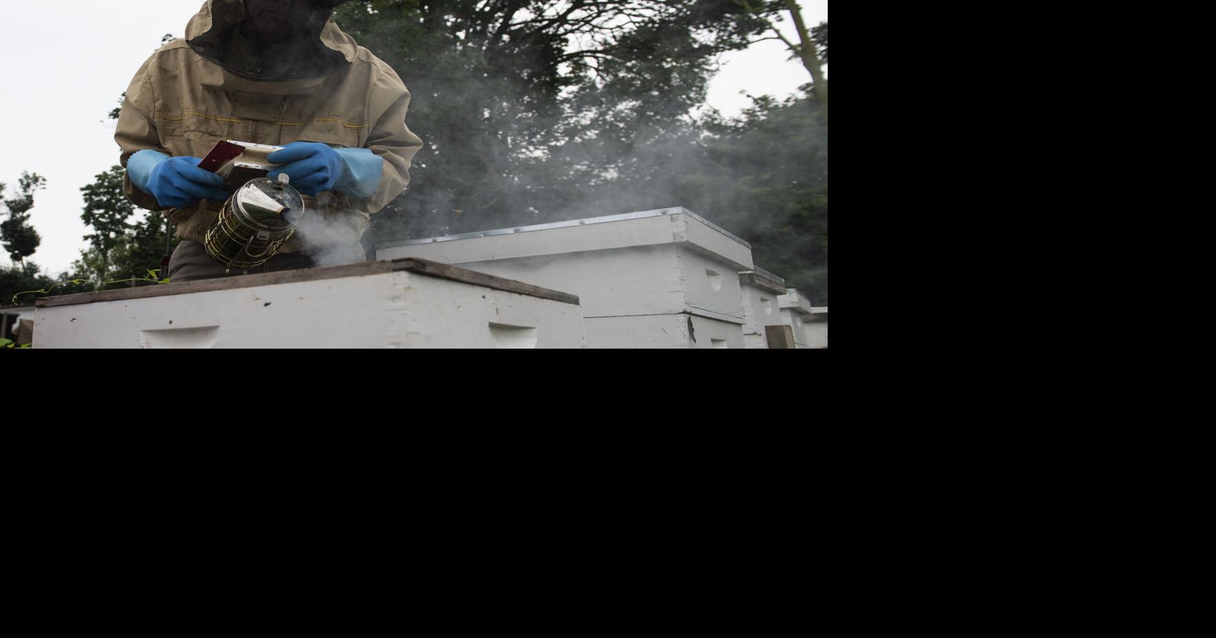 Lancaster's Youngest Beekeeper