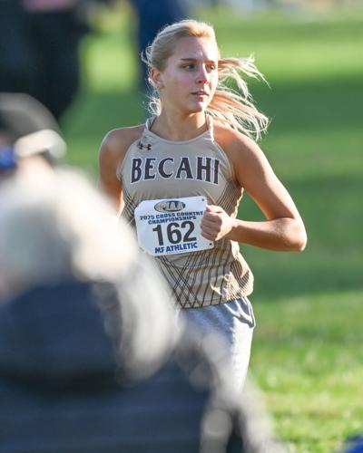 2025 PIAA cross country championships [photos] | High School Cross ...