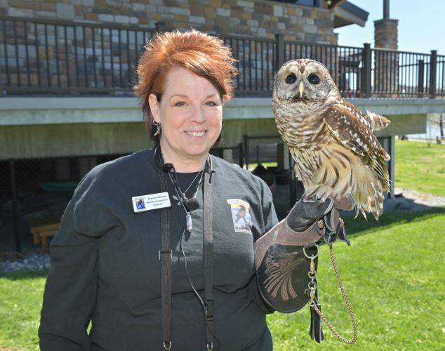 Raven Riger Raven Ridge Wildlife Center holds wildlife baby shower [photos ...