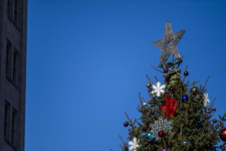 Lancaster City's Christmas tree goes up in Penn Square for 2019 [photos