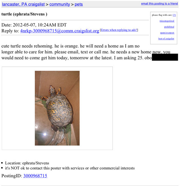 Another Wildlife Rescue Gone Wrong Sports Lancasteronline Com