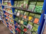 5 seed catalogs you can get for free — and what's new for 2026