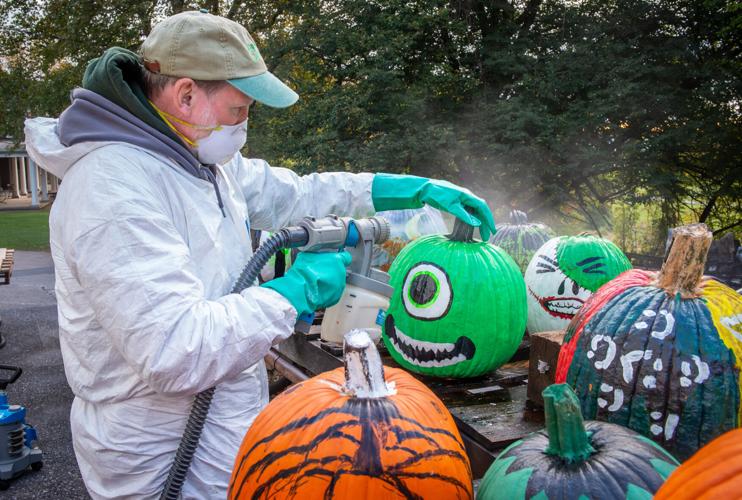 Pumpkin Palooza to bring pumpkins painted like Bluey, a mum 'tree' and