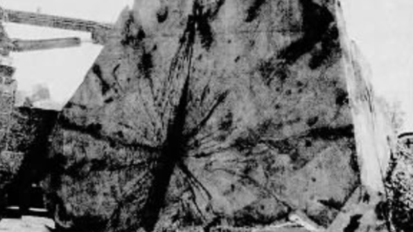 A 300-year-old tree fell in 1996; a four-day work week was tested in 1971 [Lancaster That Was] - Vimarsana News