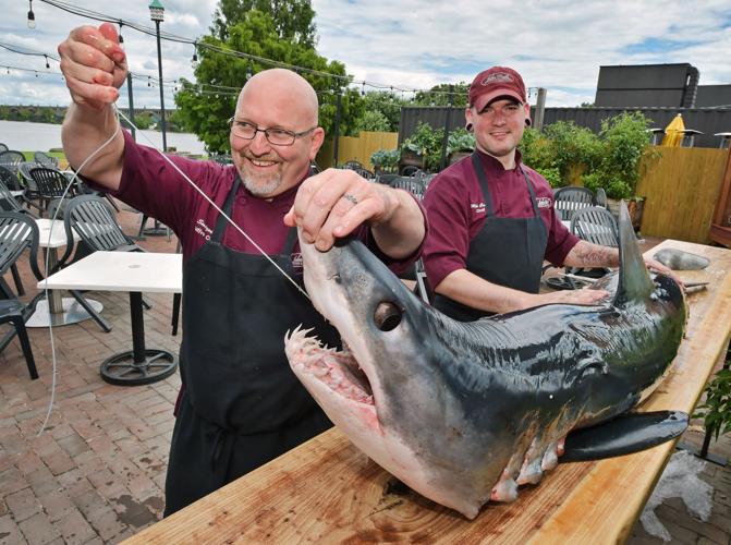 For Shark Week, John Wright Restaurant serves up 162-pound mako
