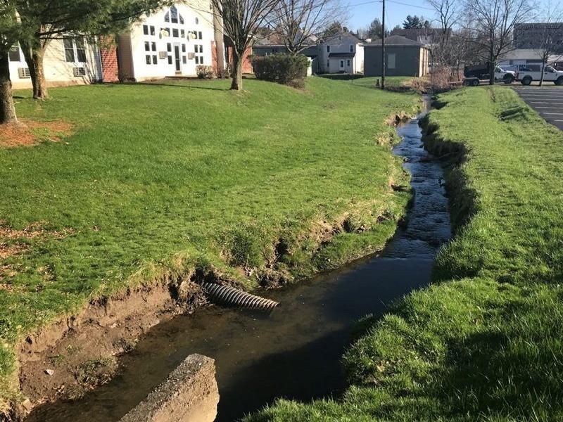 Does your backyard stream need rehab? Here's what to look out for, from snails to invasive plants - Vimarsana News