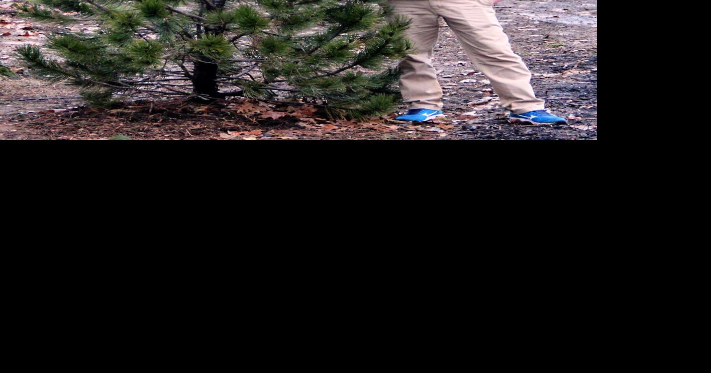 Remembering his arborist brother, Lebanon man plants trees at South Hills Park Community News