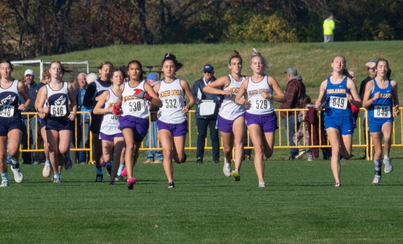 2022 District 3 cross country championships [photos] High School