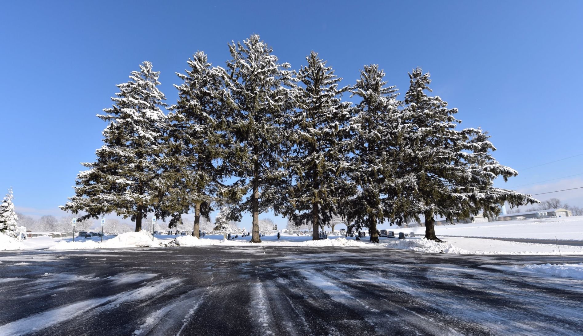 Here's How Much Snow Fell Across Lancaster County Overnight | Local ...