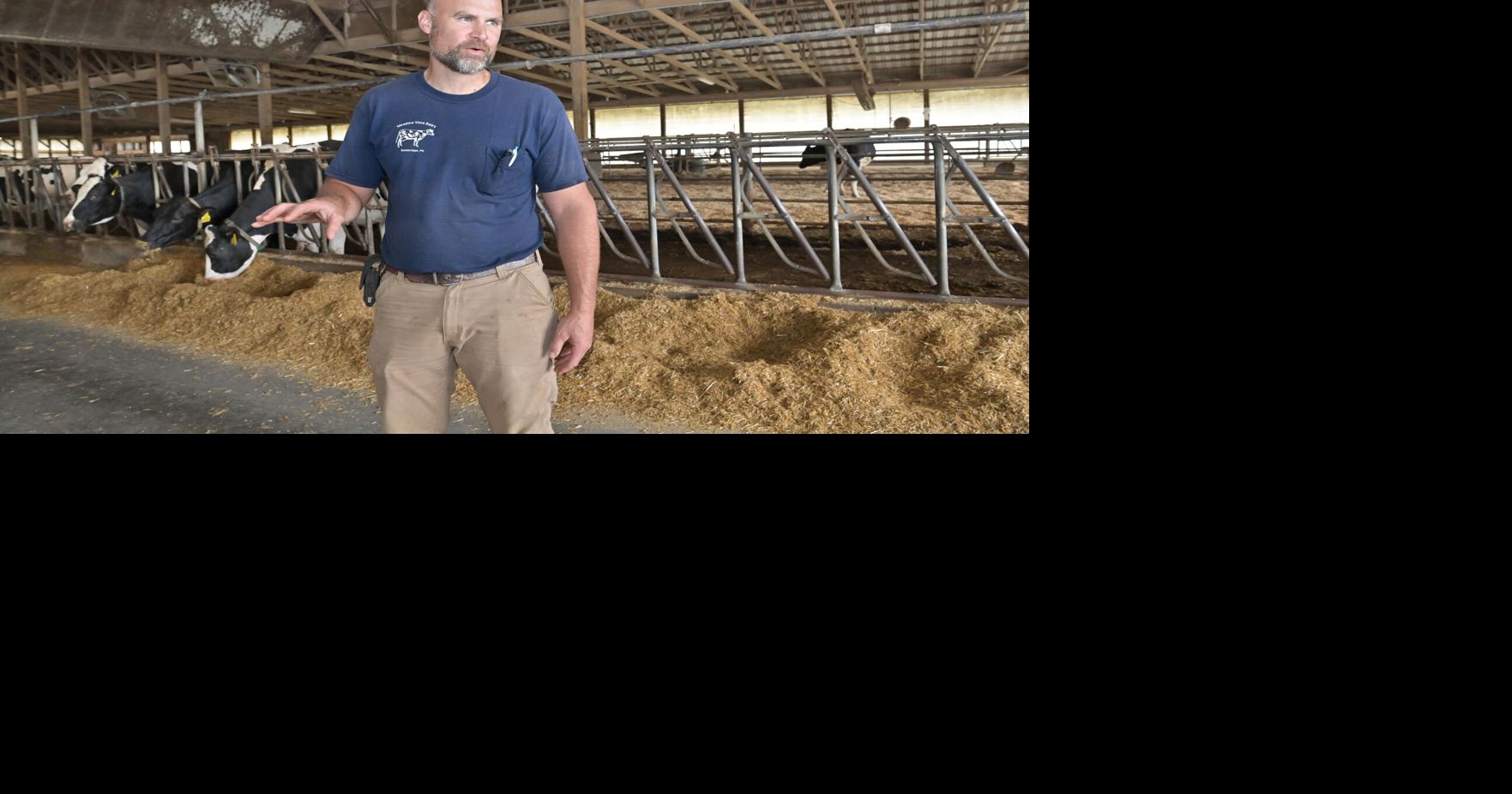 Justin Risser of Meadow Vista Farms keeps his cows and workers cool ...