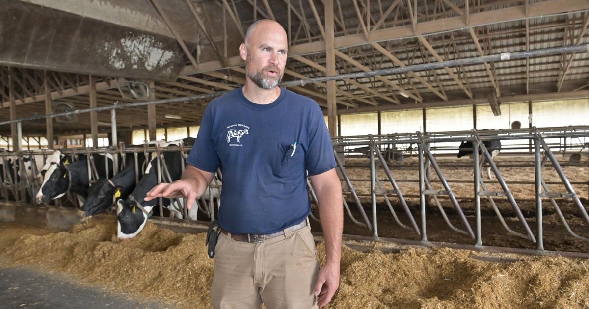 Justin Rice Farm Justin Risser of Meadow Vista Farms keeps his cows and workers cool ...