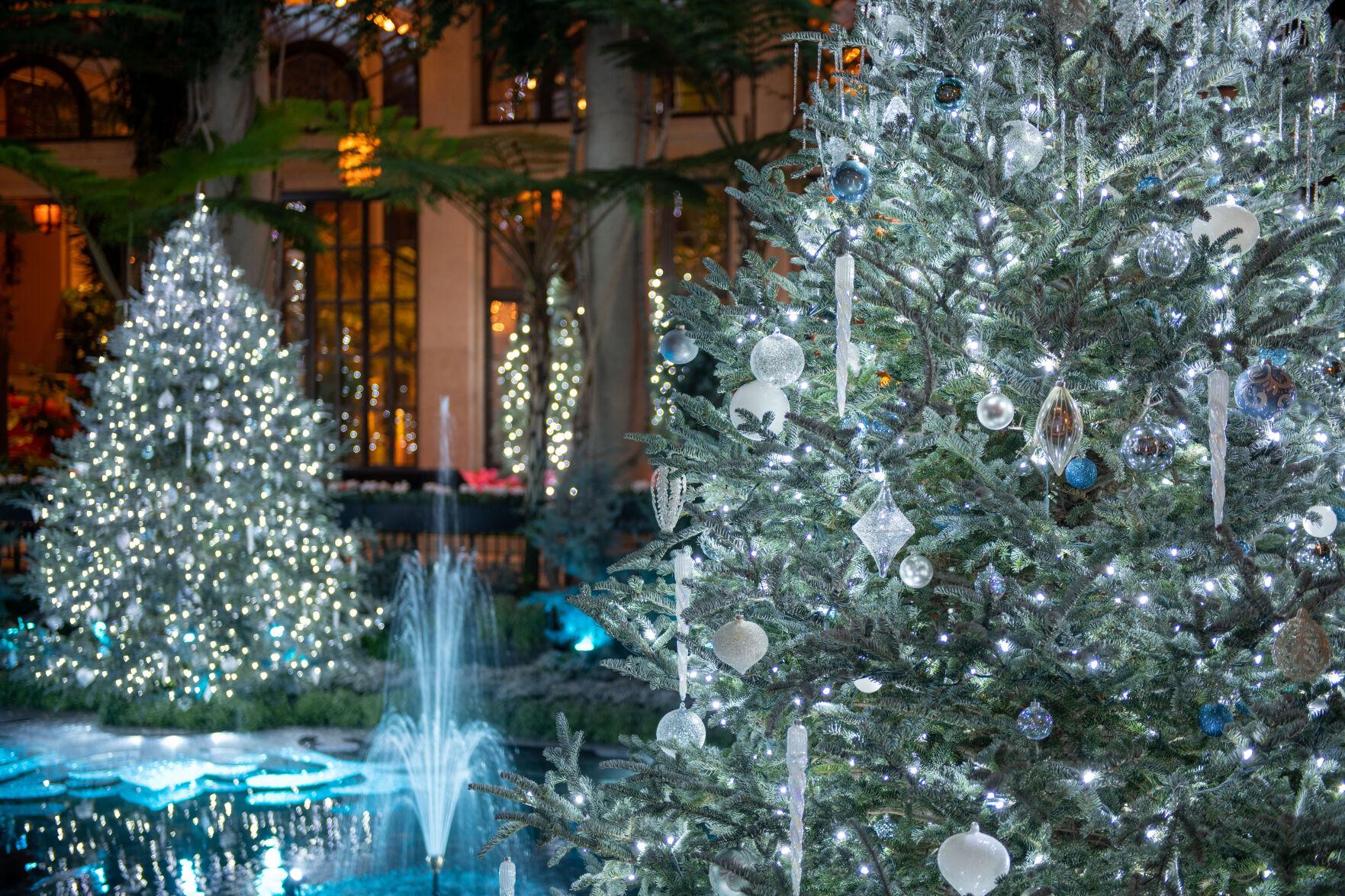 The best botanical garden holiday lights in the country are here in