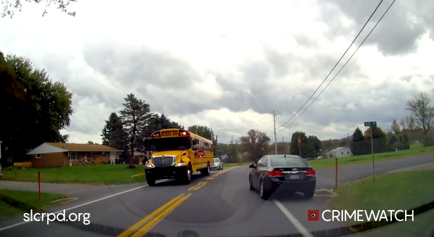 Police charge motorist caught on video passing school bus dropping ...