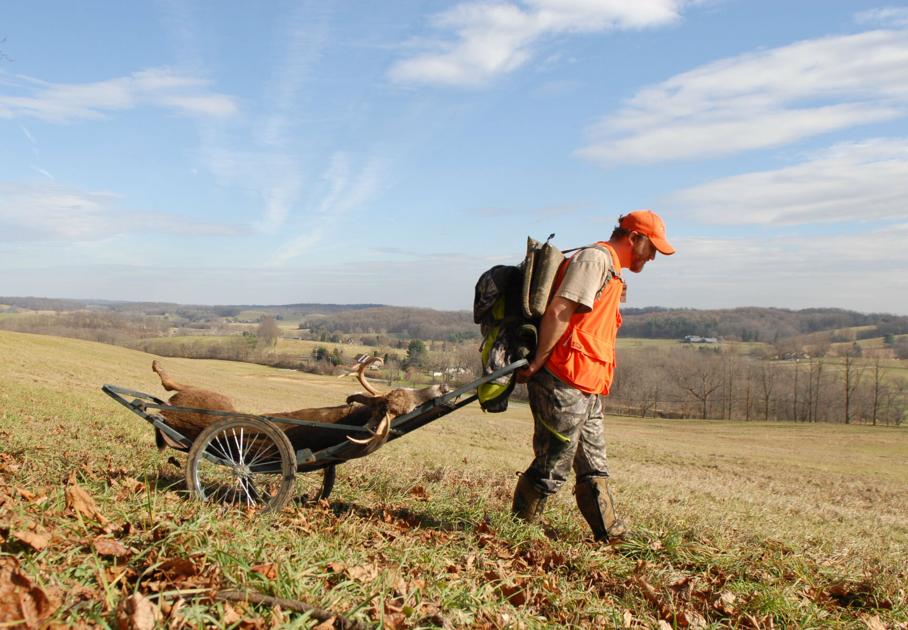 All signs point to busy firearms deer season this year | Local News