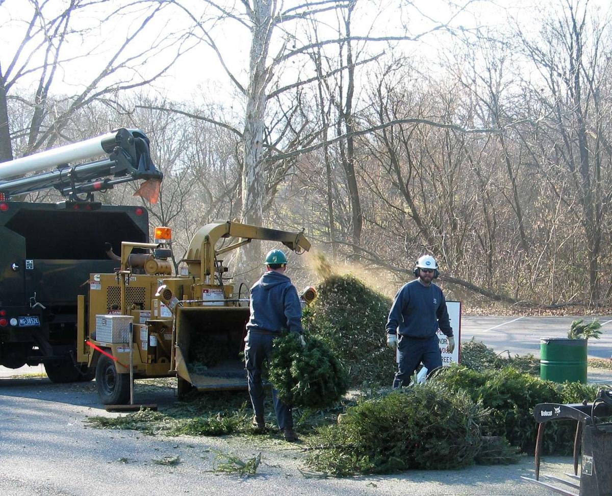 Here's where you can recycle your Christmas tree in Lancaster County ...