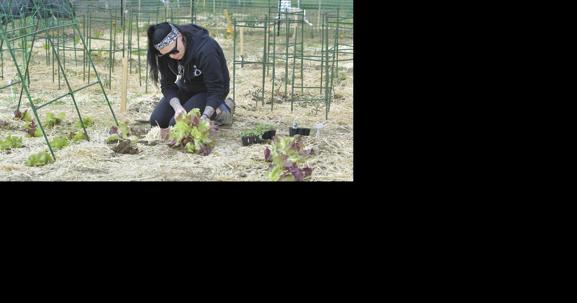 9 Collective Community Garden [photos]