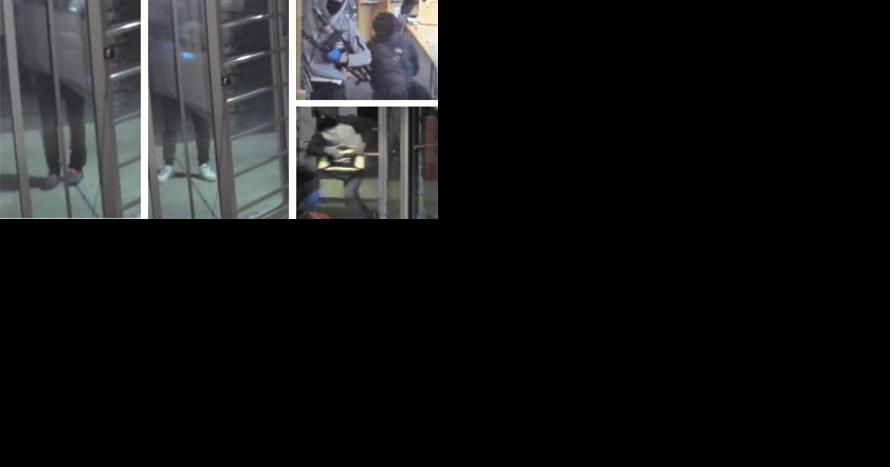 Burglars broke into Trop Gun Shop in Mount Joy Township, stole 14 firearms: police - Vimarsana News