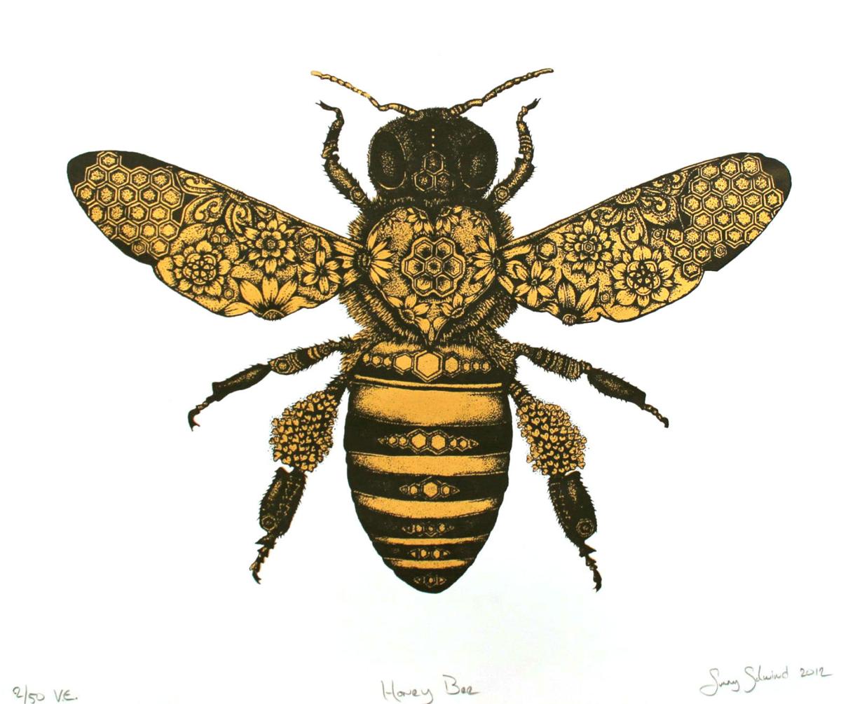 The amazing honey bee to be celebrated Saturday at North Museum Life