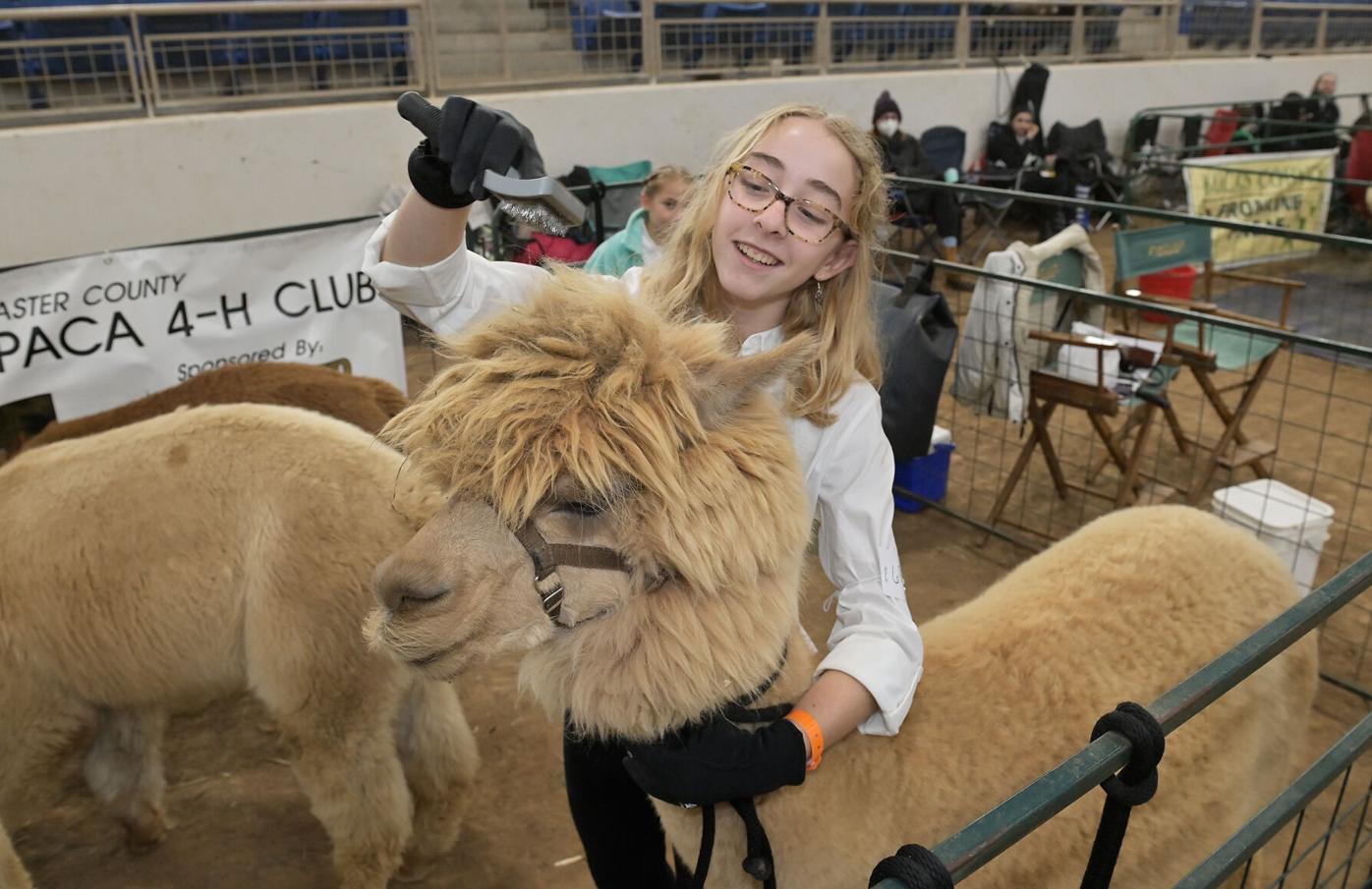 Tuesday Farm Show 2.jpg
