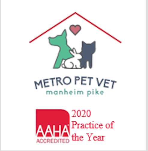 Metro pet discount vet
