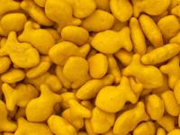 Lancaster County's Pepperidge Farm plant is giving away free Goldfish crackers; here's how to find them