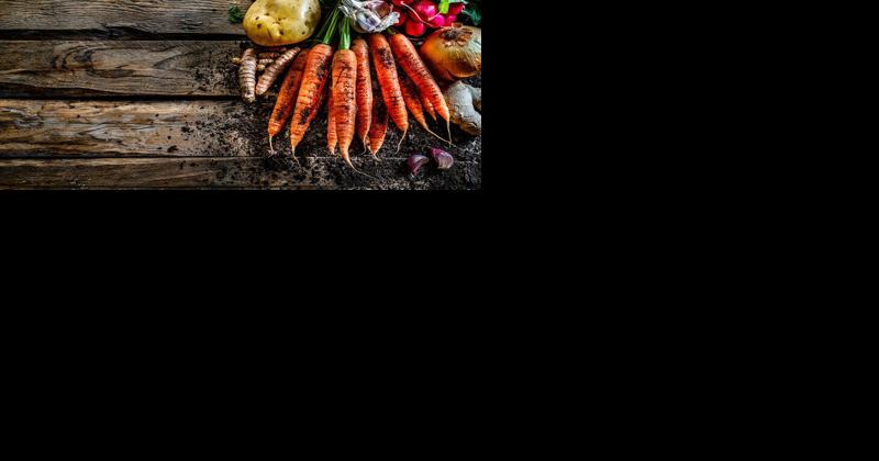 Should you freeze or can fall vegetables? - Vimarsana News