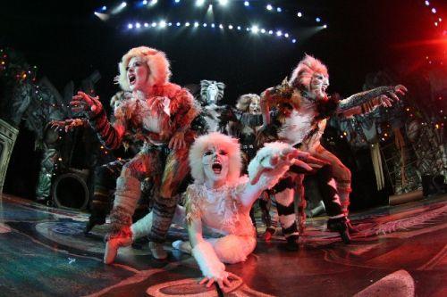 Fanciful Felines Take Over The Hershey Stage In Cats