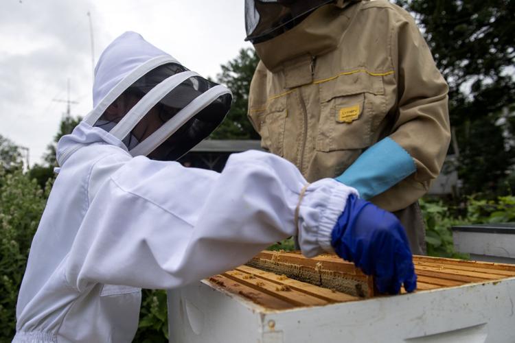 'They accept me' Meet 7yearold beekeeper from Lancaster County whose