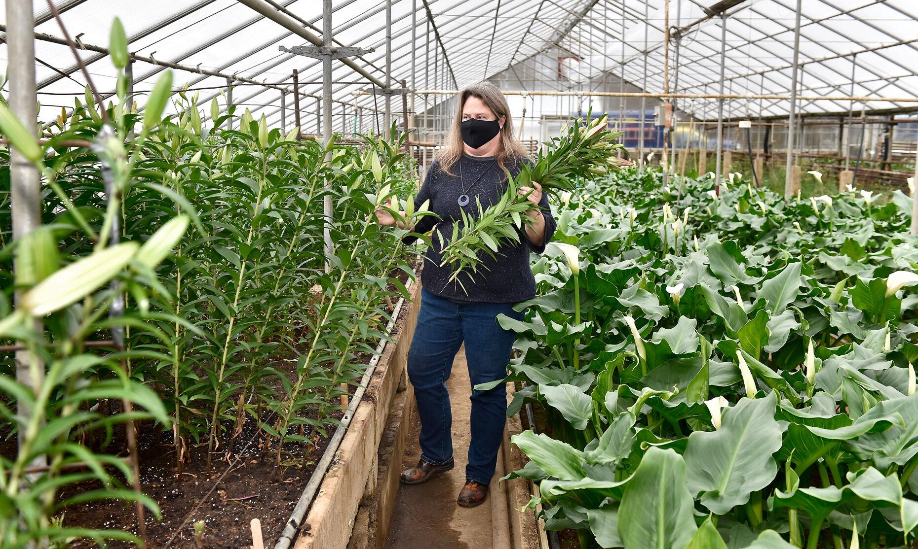 This 83yearold Lititz flower shop still grows its own blooms [photos