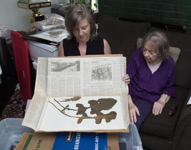 Warped plants inspire local woman's decades-long effort to examine effects  of TMI nuclear accident | Local News | lancasteronline.com
