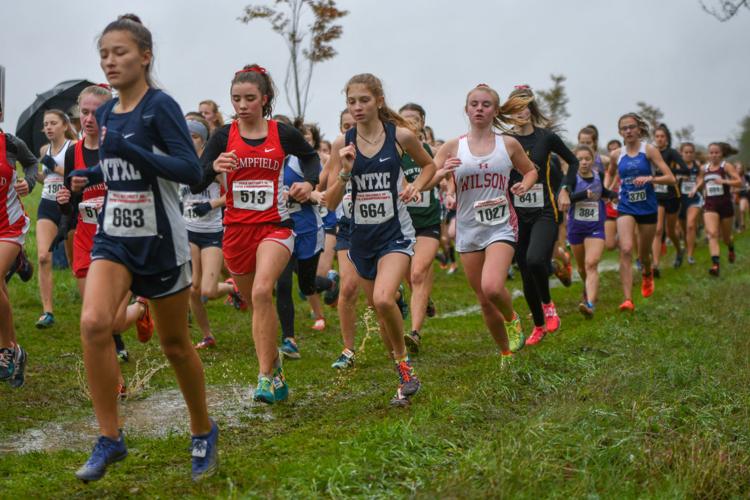 District 3 cross country championships