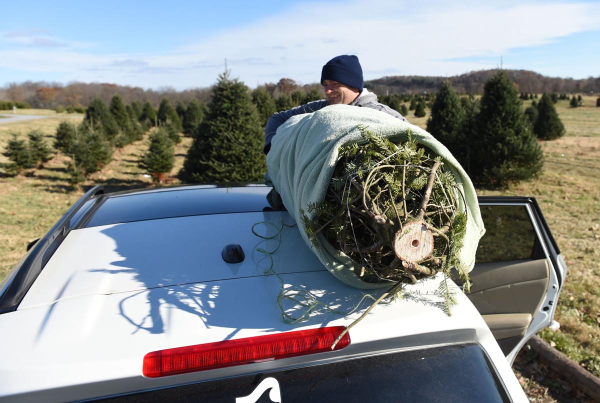 Vote When do you put up your Christmas tree? Together