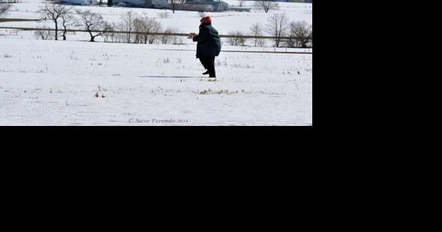 Should this woman go to jail for scaring a snowy owl near New Holland? - Vimarsana News