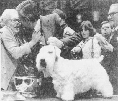 Westminster best in show, 1977