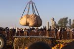 Smash pumpkins and watch 3 giant squash drops Saturday at these Lancaster County fall festivals