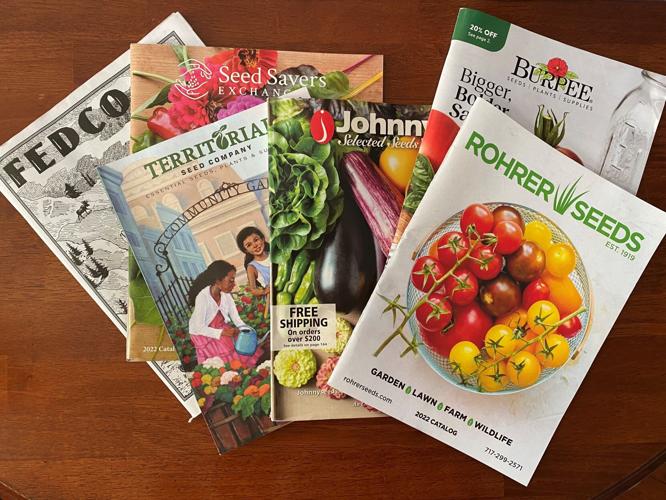 2022 seed catalogs