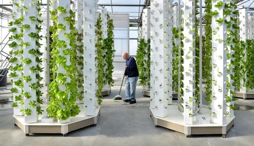 Hydro Gardens Lancaster Fasci Garden