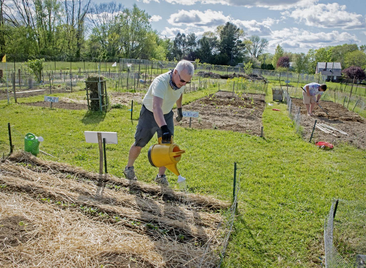 Ready to grow your 2021 garden? These 4 community gardens in Lancaster