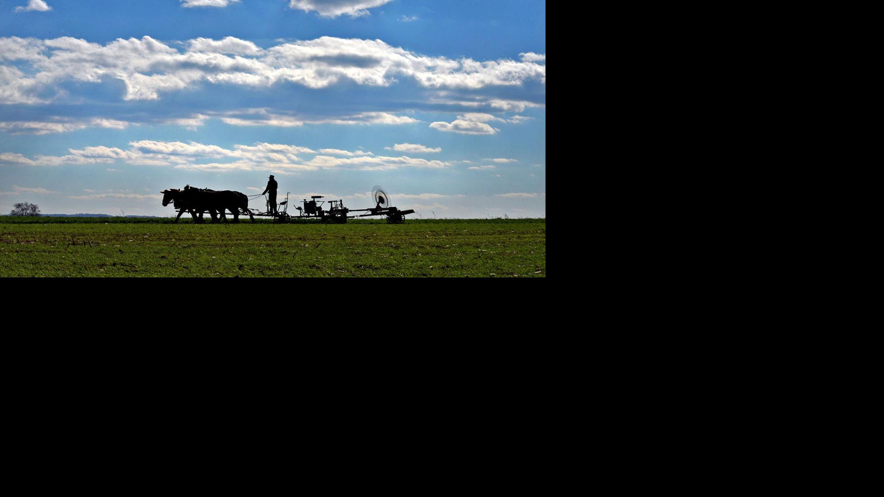 Plain & Growing Amish population doubles every 20 years, now totaling
