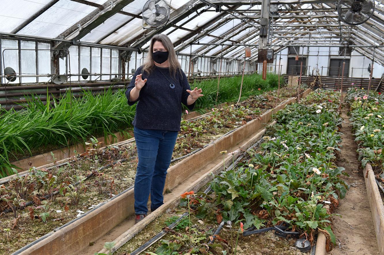 This 83yearold Lititz flower shop still grows its own blooms [photos