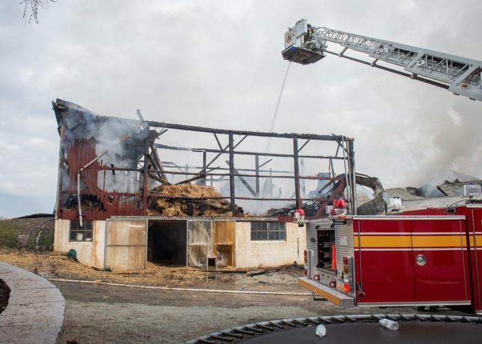 Firefighters save 3 trapped cows while battling barn fire in Colerain ...
