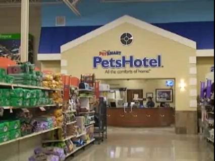 A Luxury Hotel For Pampered Pooches News Lancasteronline Com