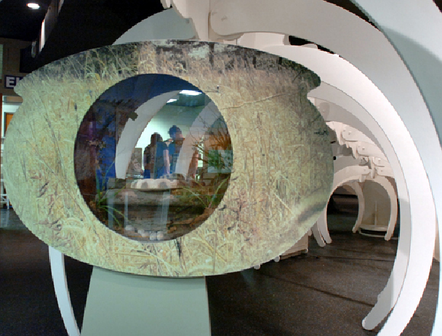 Snake exhibit slithers into North Museum | Entertainment ...