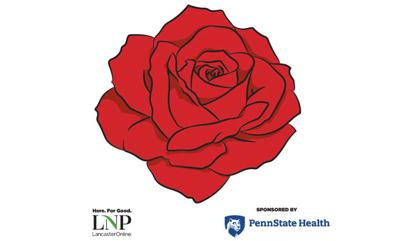 Red rose cover