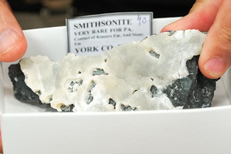 fossils072422-13.jpg
