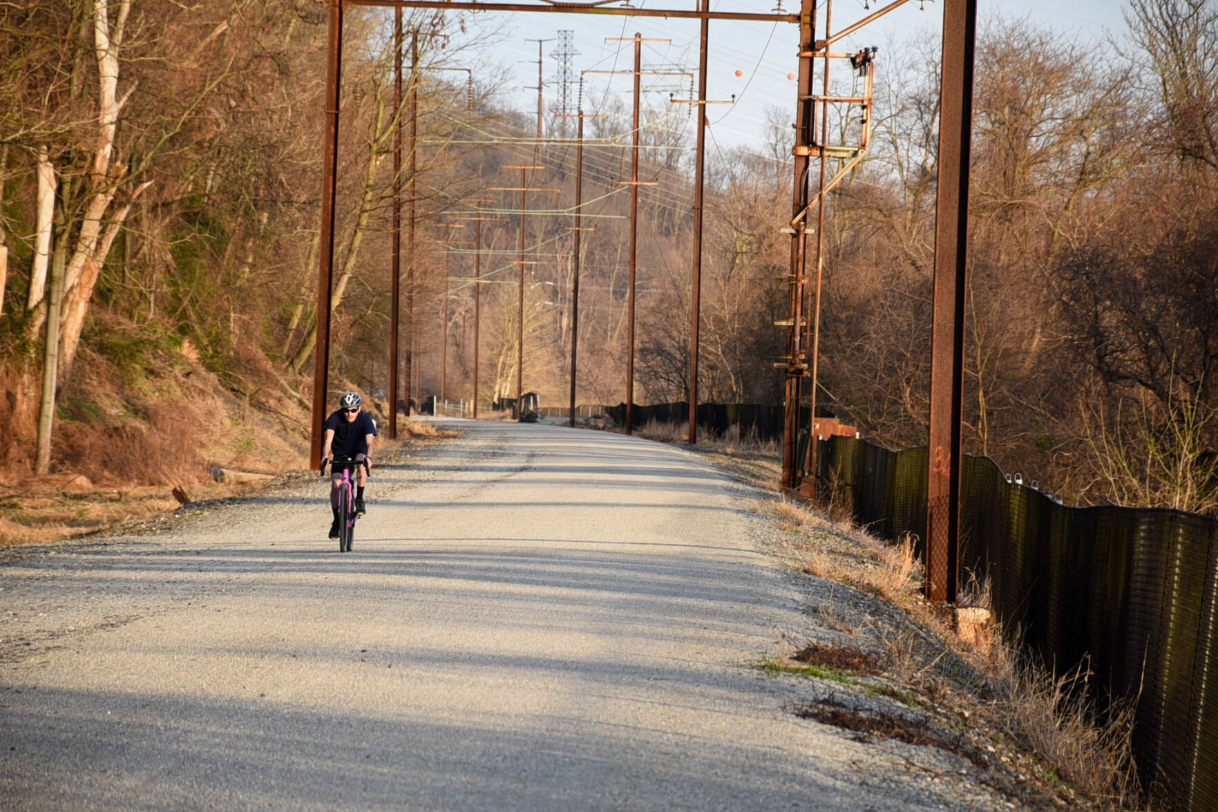We must fight for the laws that preserve our history [column] | Local ...