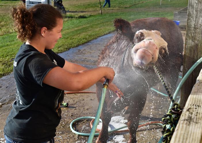 21 photos from the West Lampeter Fair Local News