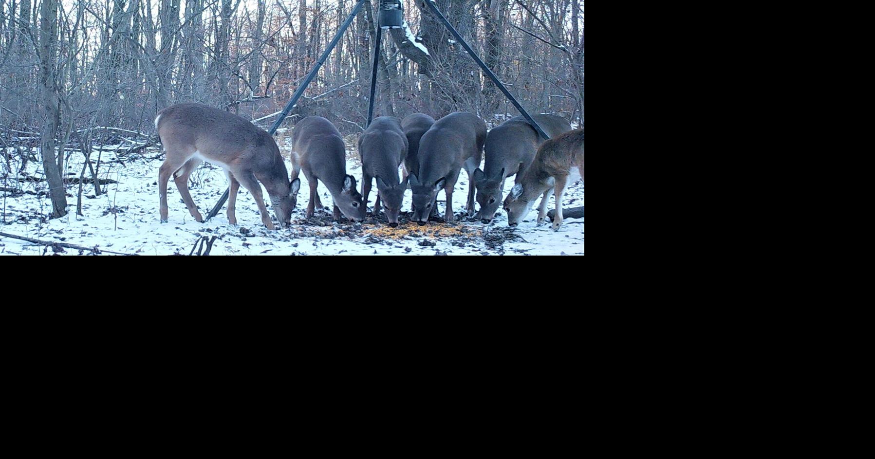 PA Game Commission explains CWD deerfeeding ban proposal; petition